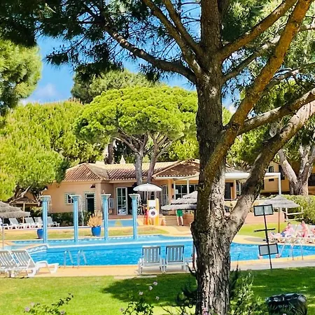 Bicos S By Check-in Portugal Διαμέρισμα *