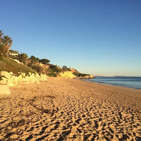 Διαμέρισμα Bicos S By Check-in Portugal Αλμπουφέιρα